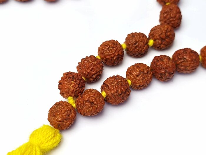 Japamala indiano de 108 contas de Rudraksha 8mm