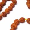 Japamala indiano de 108 contas de Rudraksha 8mm