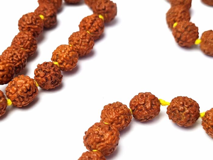 Japamala indiano de 108 contas de Rudraksha 8mm