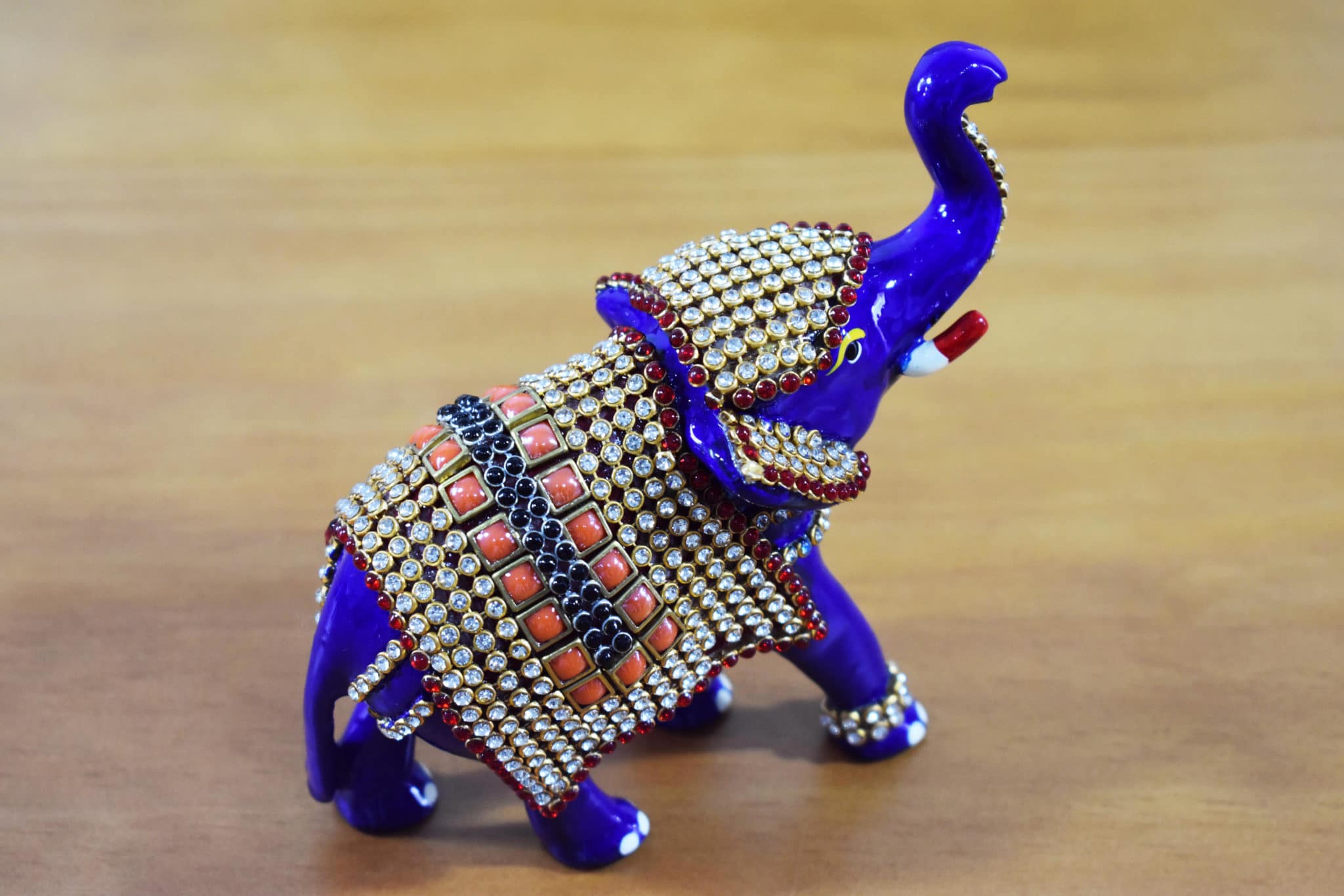 elefante indiano
