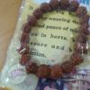 Pulseira de sementes de Rudraksha (semente de 8mm)