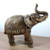 elefante indiano