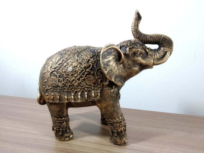 elefante indiano