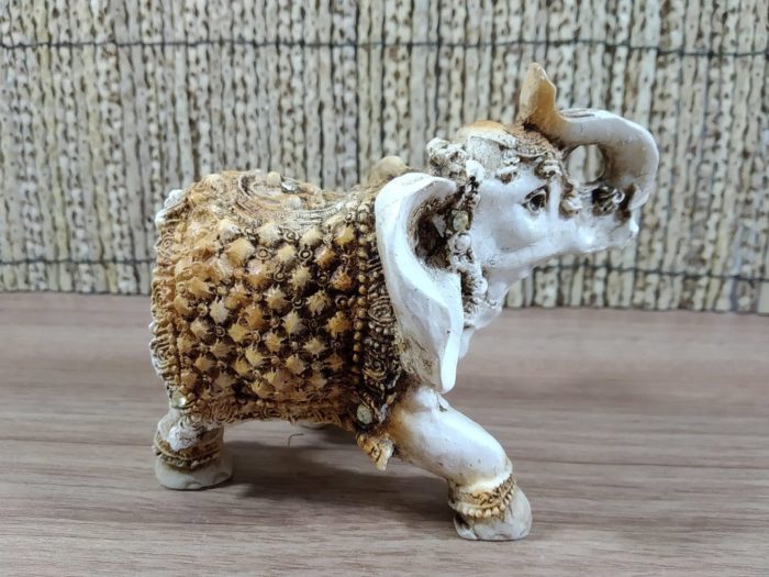 elefante indiano da sorte