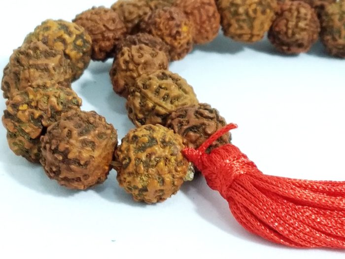 Japamala de 108 contas grandes de sementes de Rudraksha 12mm