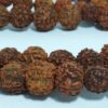 Japamala de 108 contas grandes de sementes de Rudraksha 12mm