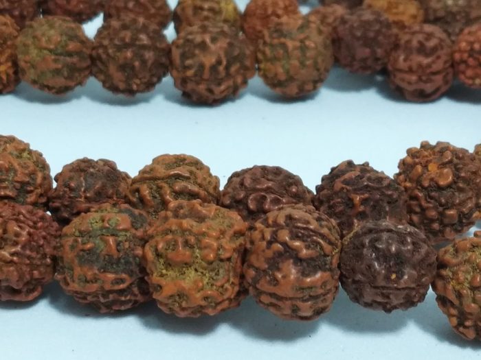Japamala de 108 contas grandes de sementes de Rudraksha 12mm