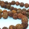 Japamala de 108 contas grandes de sementes de Rudraksha 12mm