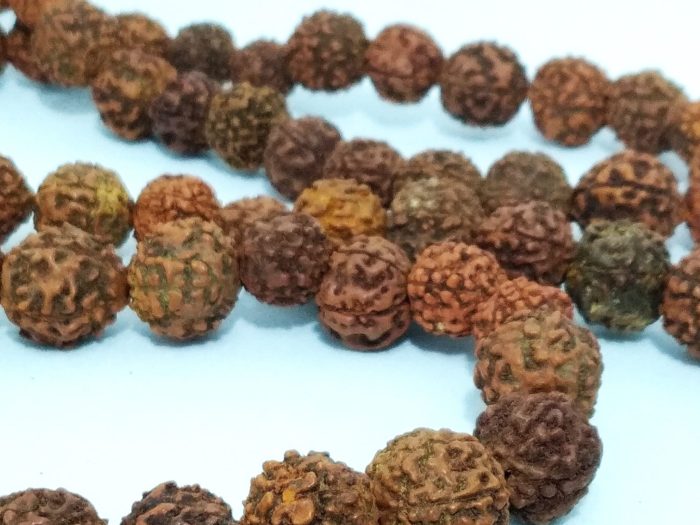 Japamala de 108 contas grandes de sementes de Rudraksha 12mm