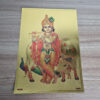 folha laminada de Krishna criança