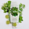 Shampoo Ayurvédico Sidha com Amla, Tulsi, Neem & Henna 180ml