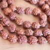 Japamala de 108 contas sementes de Rudraksha 10mm