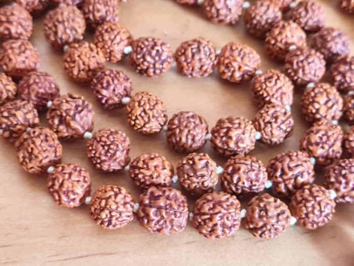 Japamala de 108 contas sementes de Rudraksha 10mm