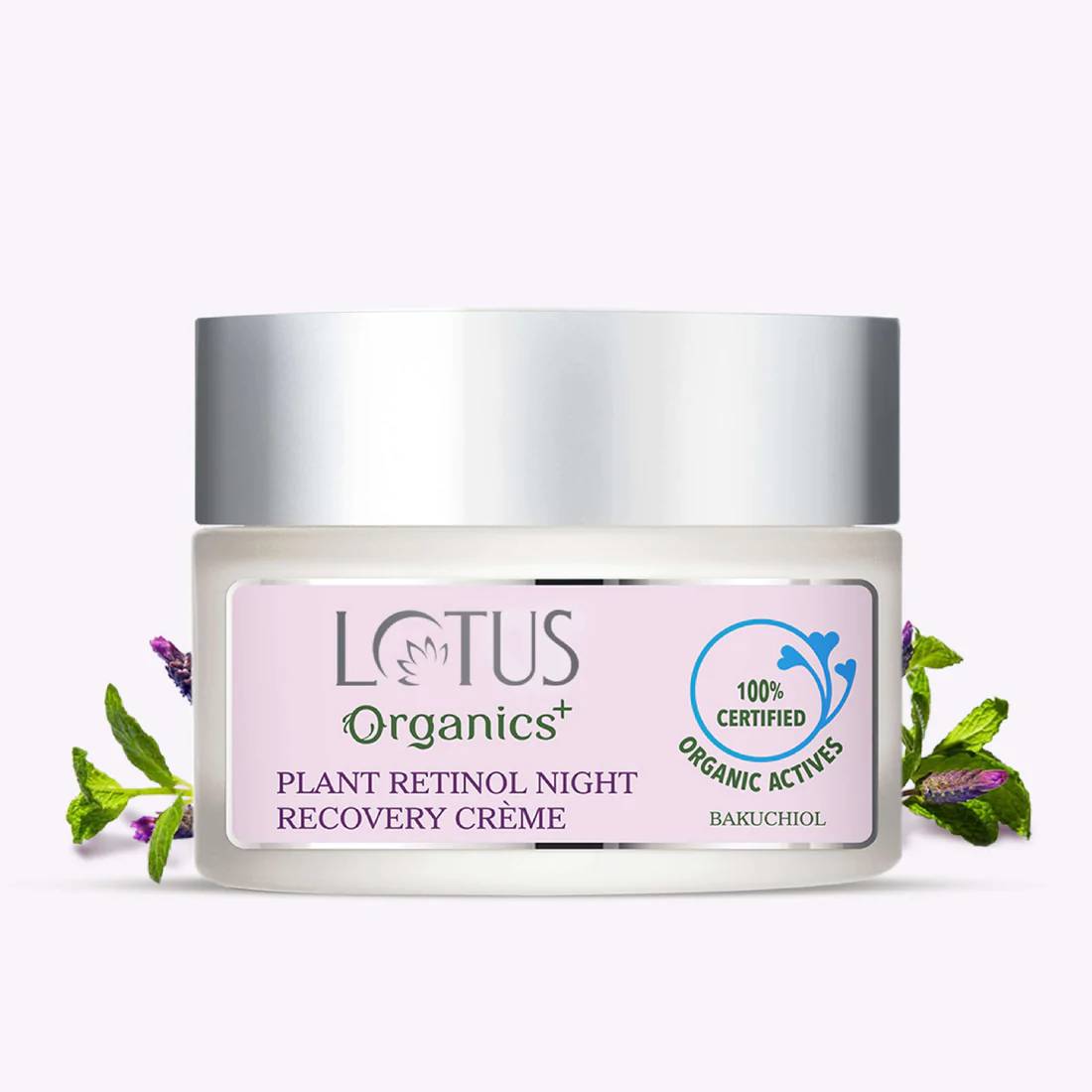 Bakuchiol Plant Retinol Night Recovery Crème