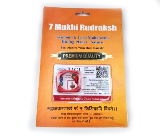 20250927_125134 Pingente de Rudraksha de 7 faces (Mukhi) com certificado