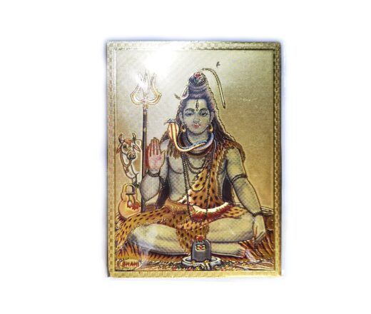 ímã de geladeira indiano de Shiva em lótus