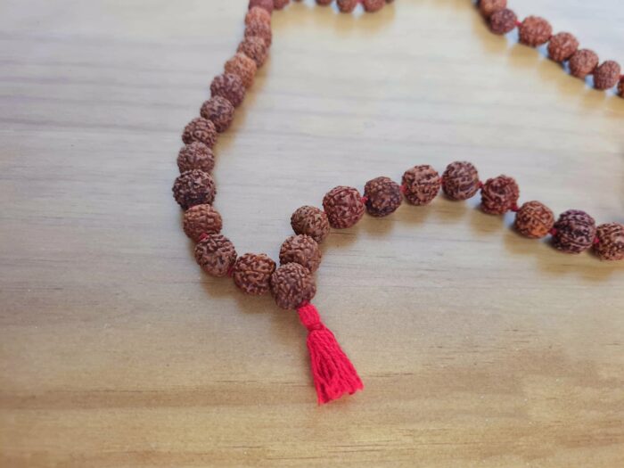 Japamala de 108 contas grandes de sementes de Rudraksha 12mm