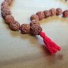 Japamala de 108 contas grandes de sementes de Rudraksha 12mm