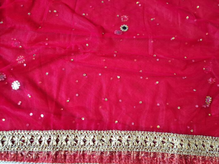 20241126_163438 Dupatta de noiva