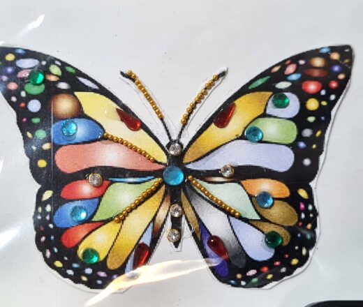 Tatuagem indiana de borboleta com aplique de pedras color IV