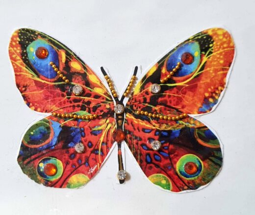 Tatuagem indiana de borboleta com aplique de pedras color V
