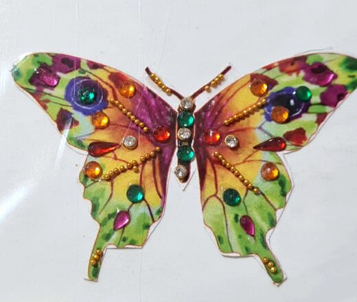 Tatuagem indiana de borboleta com aplique de pedras color