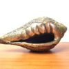 Shankha do Deus Vishnu Concha em metal brass com Lakshmi 16cm