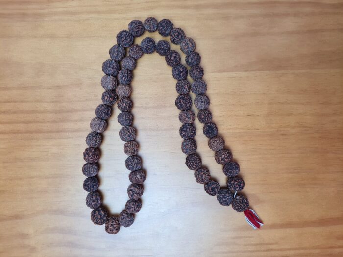Japamala de 54 contas grandes de sementes de Rudraksha 18mm (raro)