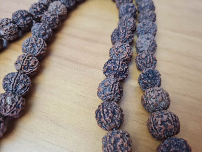 Japamala de 54 contas grandes de sementes de Rudraksha 18mm (raro)