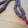 Japamala de 54 contas grandes de sementes de Rudraksha 18mm (raro)