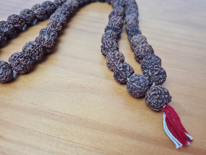 Japamala de 54 contas grandes de sementes de Rudraksha 18mm (raro)