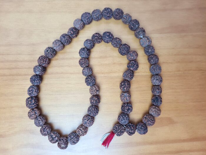 Japamala indiano de 54 contas de sementes grandes de sementes de Rudraksha 18mm para mantras e meditação. Sementes originais trazidas da Índia.