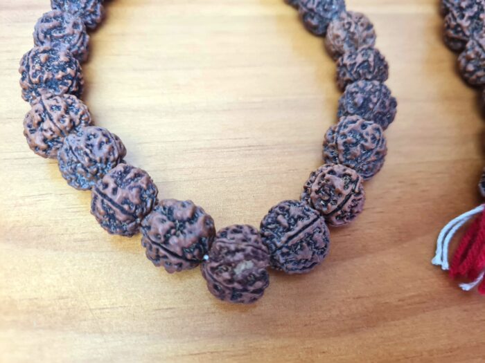 Japamala de 54 contas grandes de sementes de Rudraksha 18mm (raro)