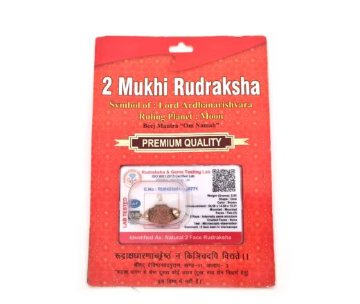 Pingente de Rudraksha de 2 faces (Mukhi) com certificado (Lord Ardhanarishvara)