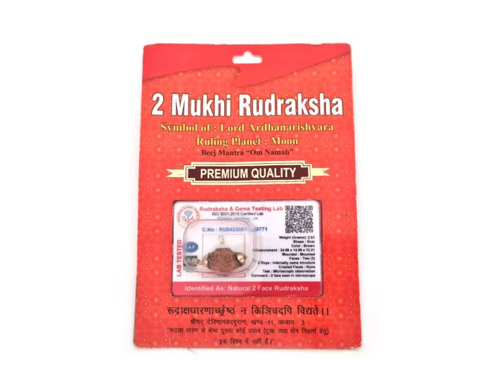 Pingente de Rudraksha de 2 faces (Mukhi) com certificado (Lord Ardhanarishvara)