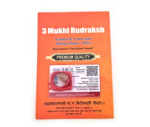 20260423_111801 Pingente de Rudraksha de 3 faces (Mukhi) com certificado (Lord Agni)
