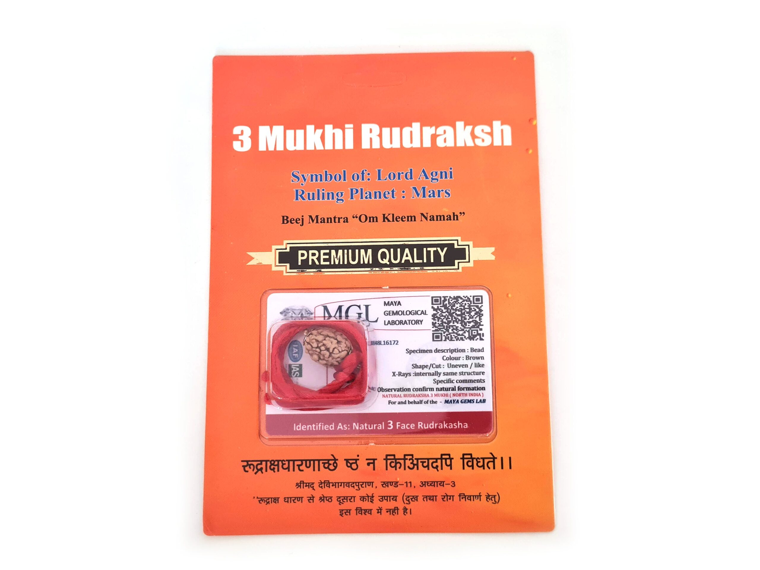 Pingente de Rudraksha de 3 faces (Mukhi) com certificado (Lord Agni)