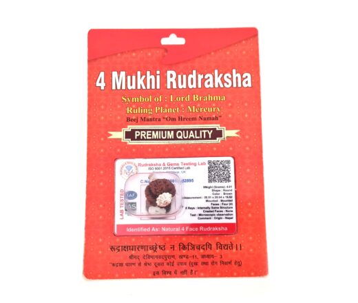 20260423_111816 Pingente de Rudraksha de 4 faces (Mukhi) com certificado (Lord Brahma)