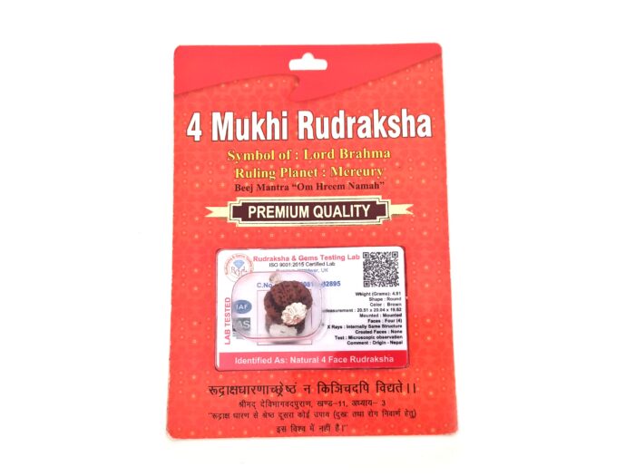 Pingente de Rudraksha de 4 faces (Mukhi) com certificado (Lord Brahma)