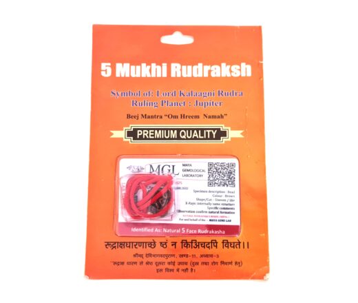 20260423_111828 Pingente de Rudraksha de 5 faces (Mukhi) com certificado (Lord Kalaagni Rudra)