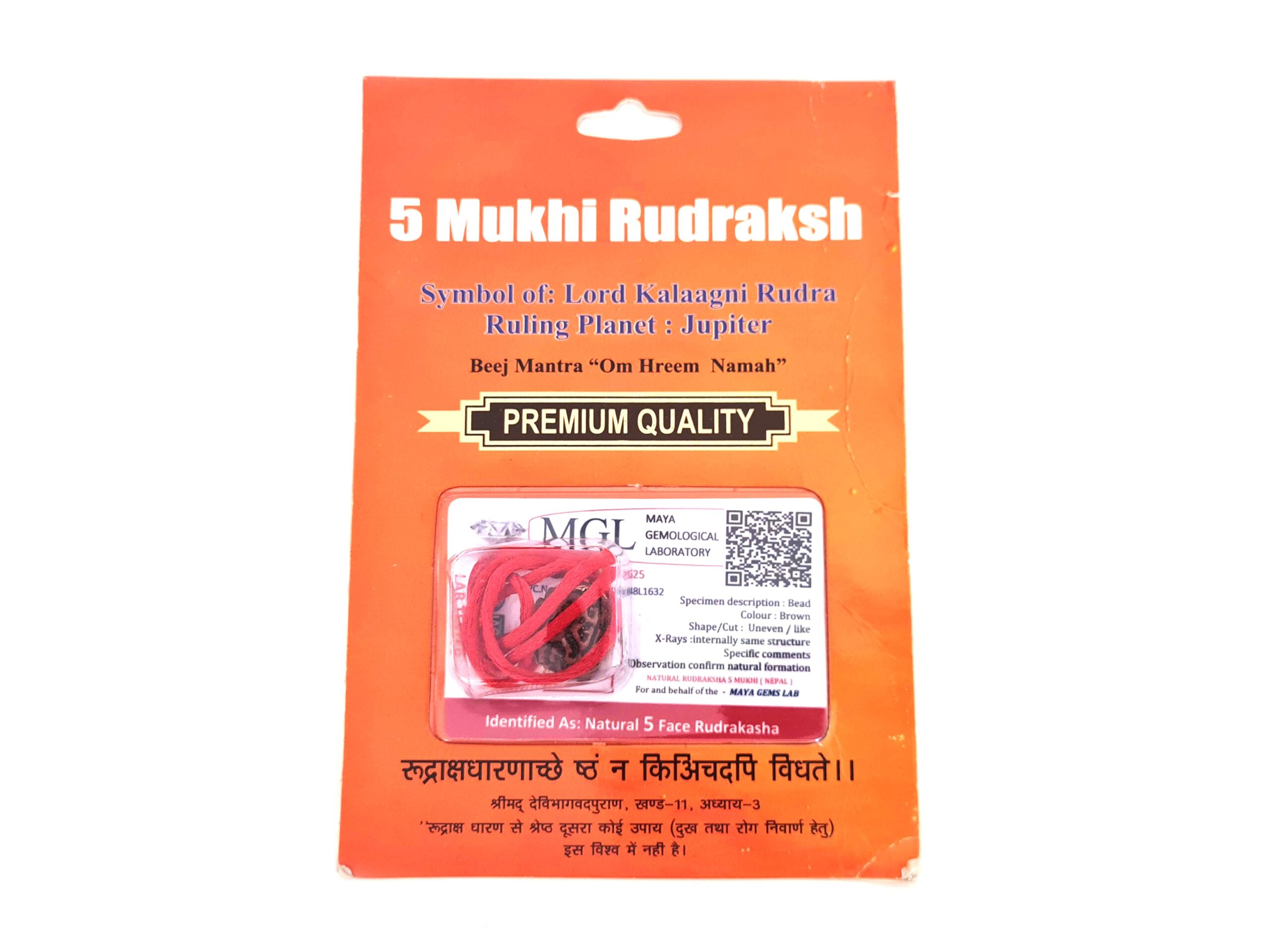 Pingente de Rudraksha de 5 faces (Mukhi) com certificado (Lord Kalaagni Rudra)