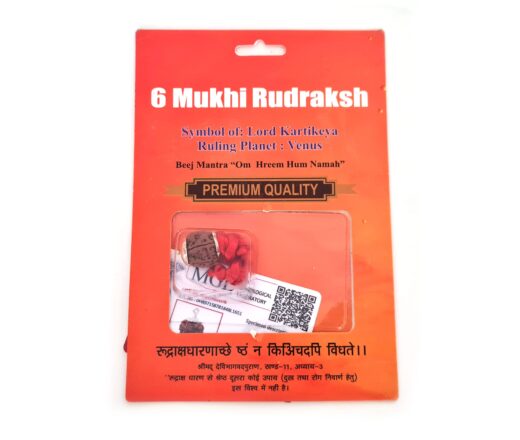 20260423_111841 Pingente de Rudraksha de 6 faces (Mukhi) com certificado (Lord Kartikeya)