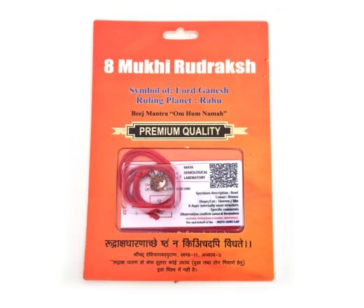 Pingente de Rudraksha de 8 faces (Mukhi) com certificado (Ganesha)