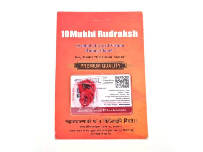 Pingente de Rudraksha de 10 faces (Mukhi) com certificado (Vishnu)